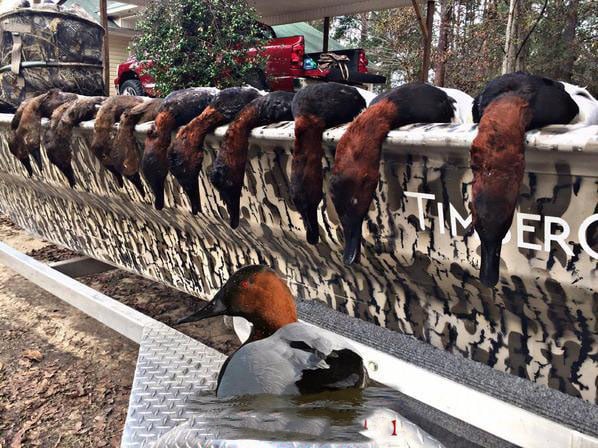 Lake Seminole Duck Hunts In Sneads