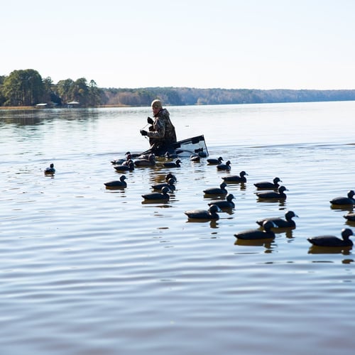 Lake Seminole Duck Hunts In Sneads