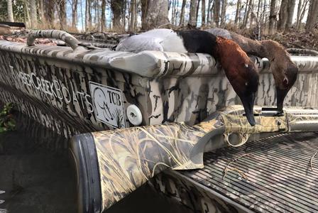 Lake Seminole Duck Hunts In Sneads