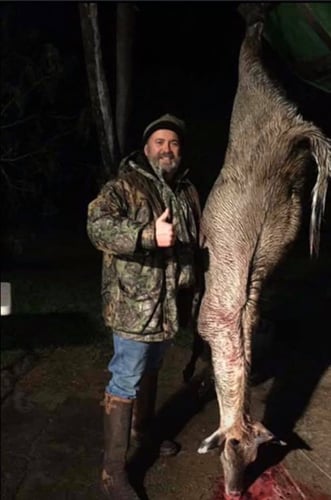 South Texas Nilgai Hunts In La Joya