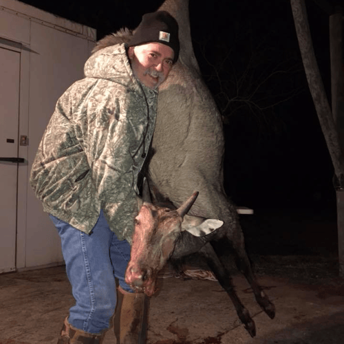 South Texas Nilgai Hunts In La Joya