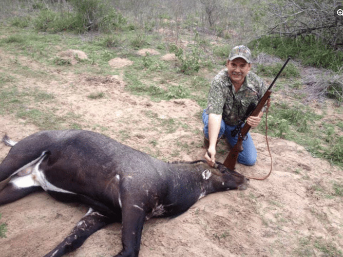 South Texas Nilgai Hunts In La Joya