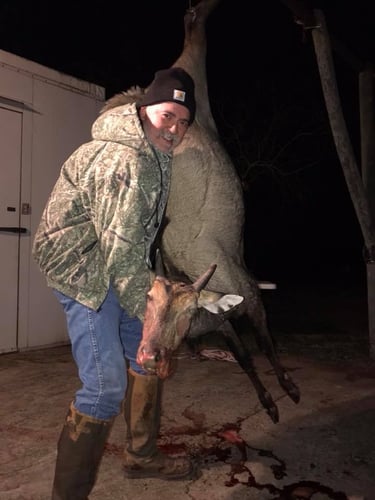 South Texas Nilgai Hunts In La Joya