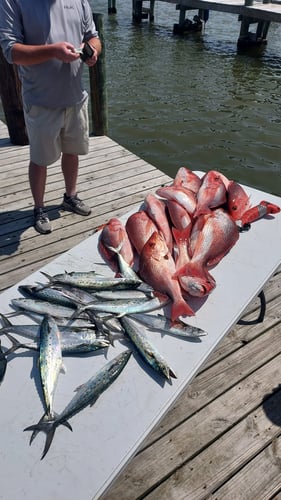 Laid Back Trolling And Bottom Fishing In Dauphin Island