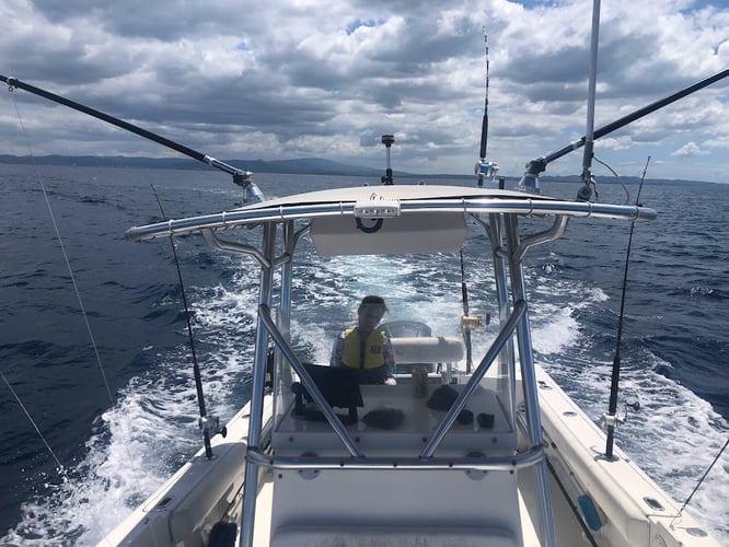 Rincon Blue Marlin Fishing In Rincon