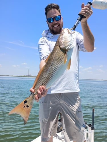 Redfish Trips In San Antonio