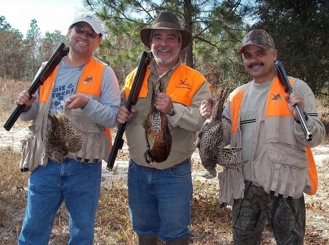 Pheasant Hunts In Archer