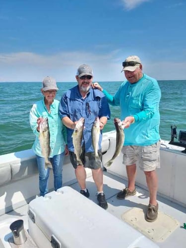 Lake Erie Smallies, Walleye, Perch In Lakeside Marblehead