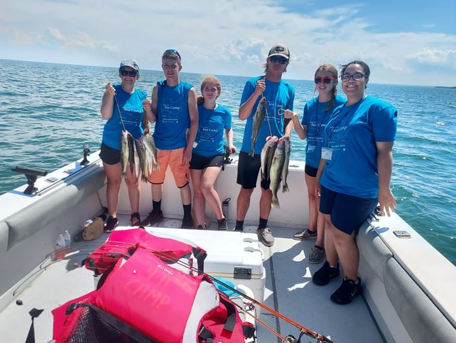 Lake Erie Smallies, Walleye, Perch In Lakeside Marblehead