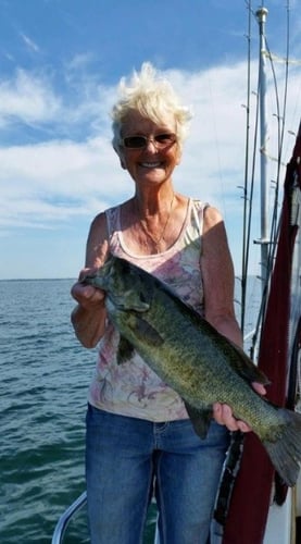 Lake Erie Smallies, Walleye, Perch In Lakeside Marblehead