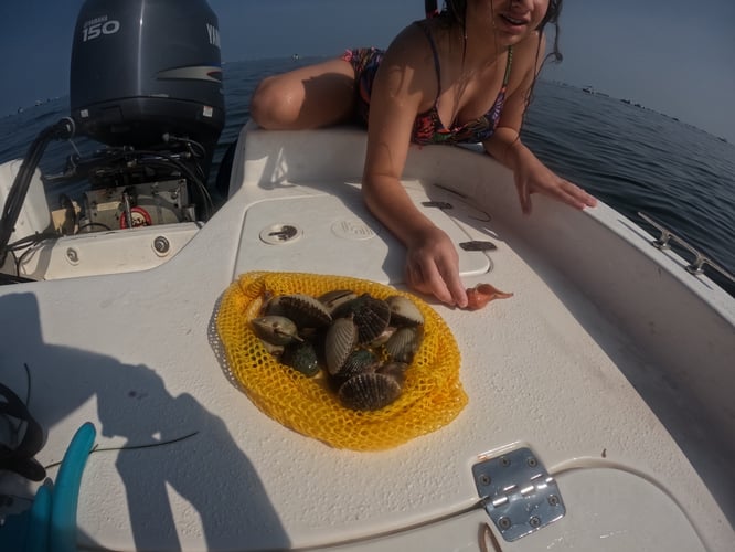 Scalloping In Crystal River
