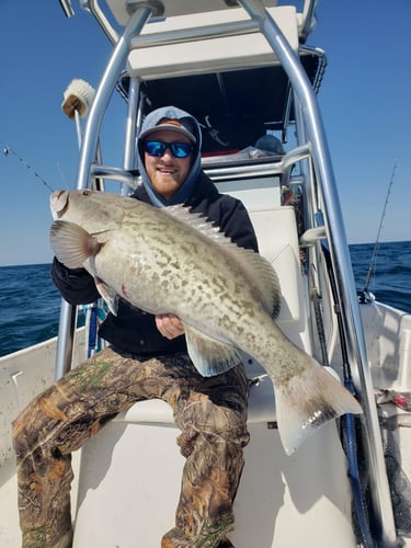 Trolling And Bottom Fishing In Pensacola Beach