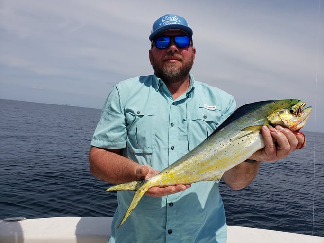 Trolling And Bottom Fishing In Pensacola Beach