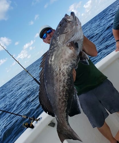 Trolling And Bottom Fishing In Pensacola Beach