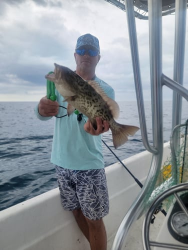 Offshore Grouper Fishing 🎣 In Cedar Key