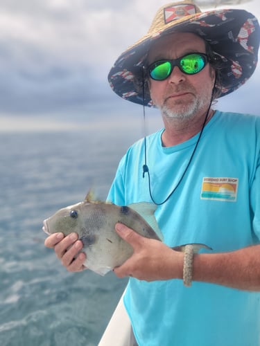 Offshore Grouper Fishing 🎣 In Cedar Key