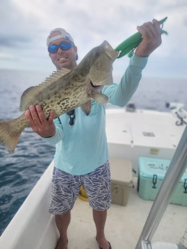 Offshore Grouper Fishing 🎣 In Cedar Key