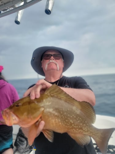 Offshore Grouper Fishing 🎣 In Cedar Key