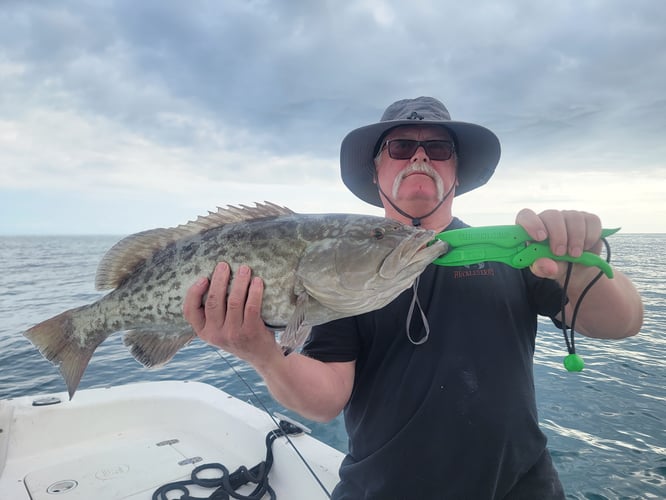 Offshore Grouper Fishing 🎣 In Cedar Key