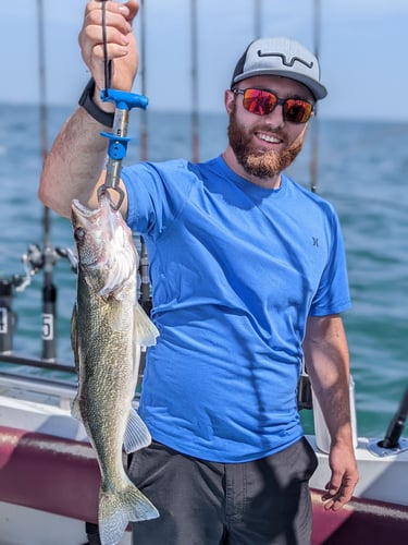 Walleye Trolling In Lorain