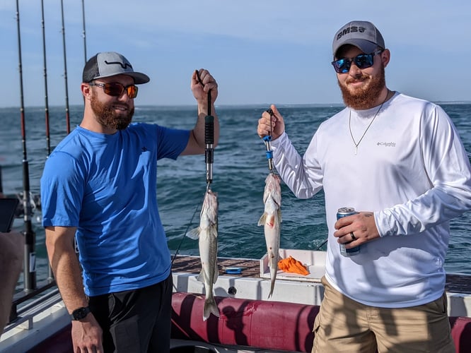 Walleye Trolling In Lorain