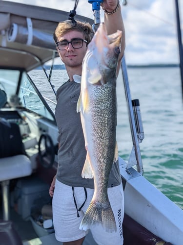 Walleye Trolling In Lorain