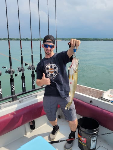 Walleye Trolling In Lorain