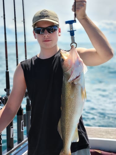 Walleye Trolling In Lorain