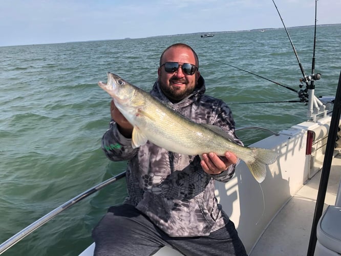 Walleye Trolling In Lorain