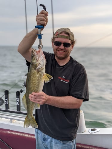 Walleye Trolling In Lorain