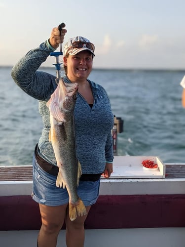 Walleye Trolling In Lorain