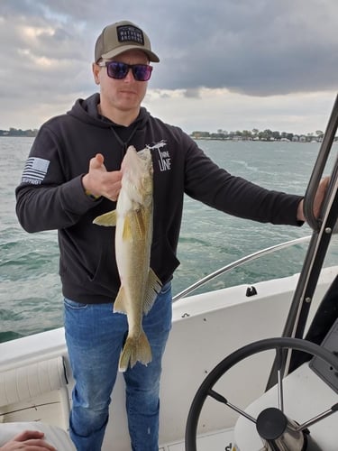 Walleye Trolling In Lorain