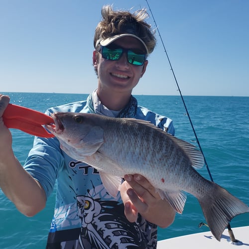 Reef/ Bottom Fishing In Key West