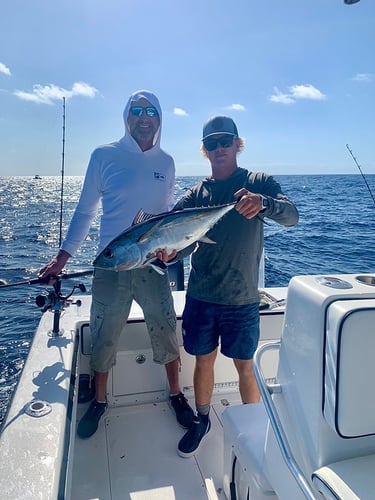 Ultimate Action Fishing In Key West