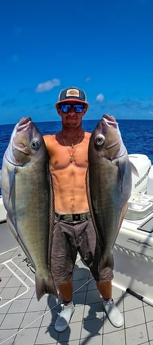 Ultimate Action Fishing In Key West