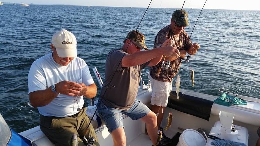 Lake Erie Perch Hunt