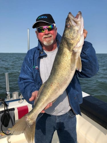 Lake Erie Walleye Hunt