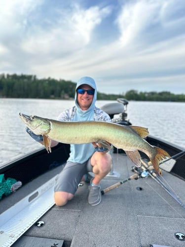 Eagle River Musky Fishing In Eagle River