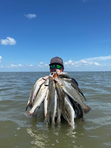 Wade Fishing Galveston Bay In Galveston