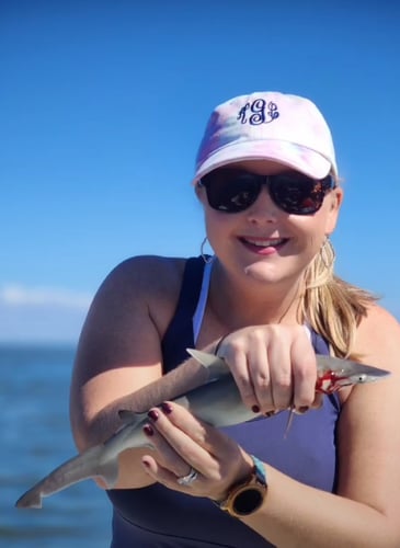 Battling Sharks! In Cedar Key