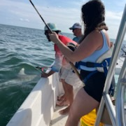 Battling Sharks! In Cedar Key