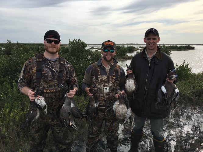 3 Person Duck Hunt In South Padre Island