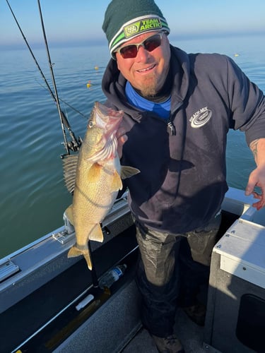 Cleveland /Lorain Trophy Walleye Trip In Cleveland