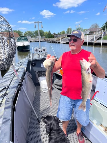 Yellow Perch And Smallmouth In Port Clinton