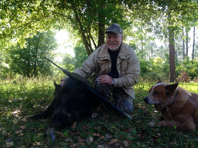 Meat Hog Hunts In Palatka