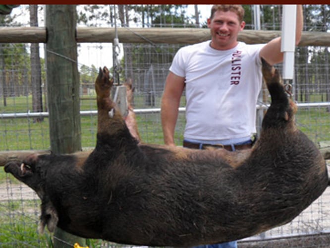 Meat Hog Hunts In Palatka