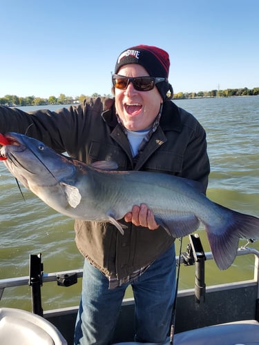 Lake Erie Catfish Special In Port Clinton