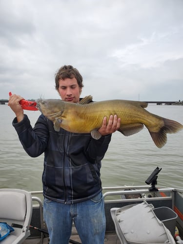 Lake Erie Catfish Special In Port Clinton