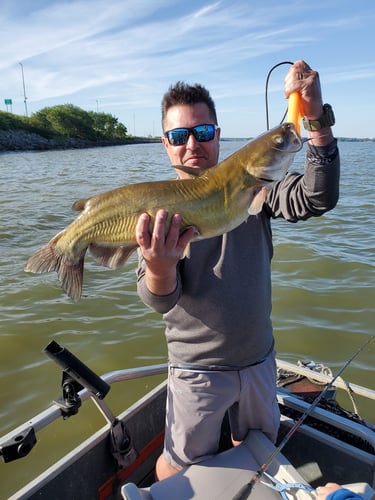 Lake Erie Catfish Special In Port Clinton