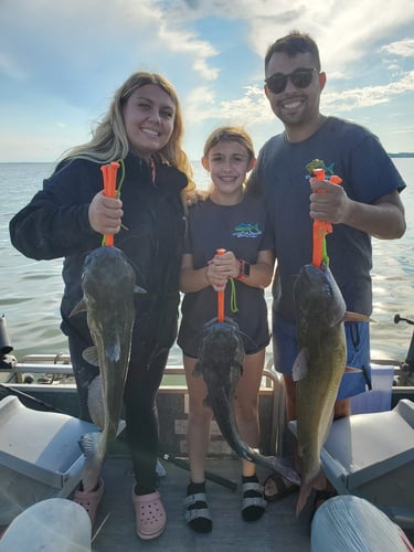 Lake Erie Catfish Special